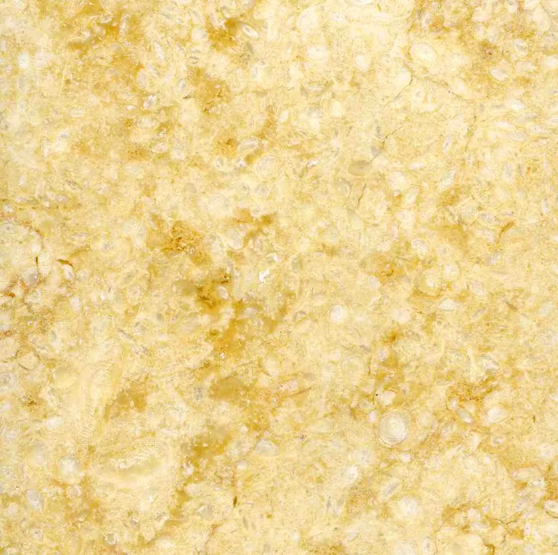 Плитка мраморная Санни Бейдж (Sunny Beige) 100*100*20 полировка