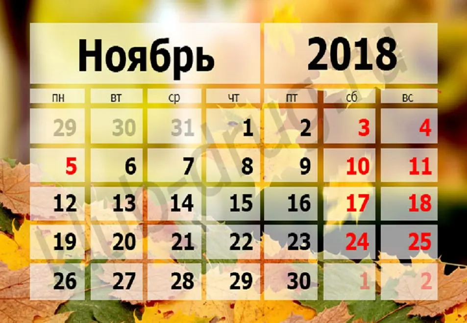 Режим работы компании в «День народного единства».