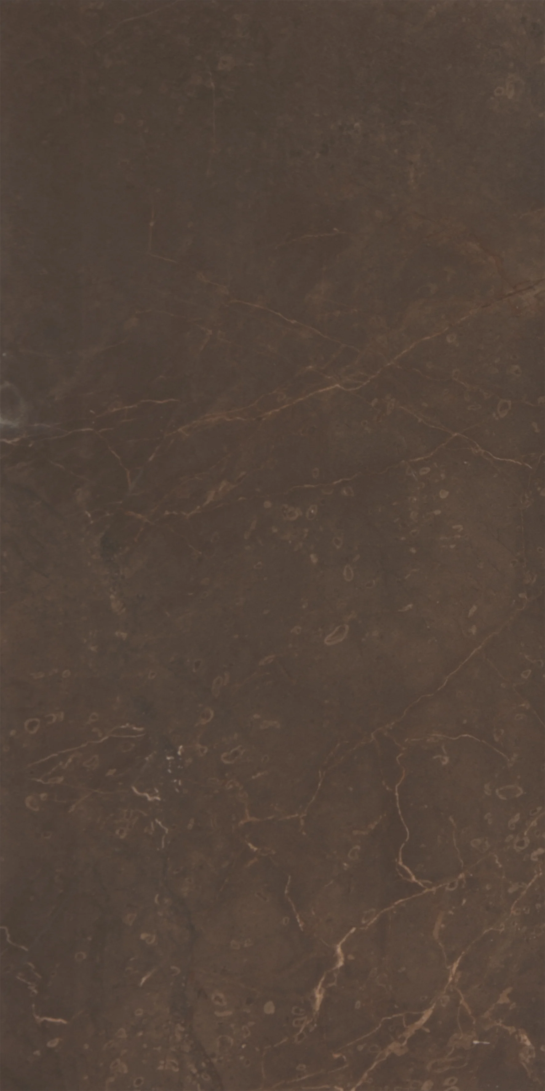 WT9MRB21 Плитка облицовочная Marble Marron 249*500, Россия