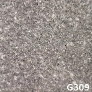 G309