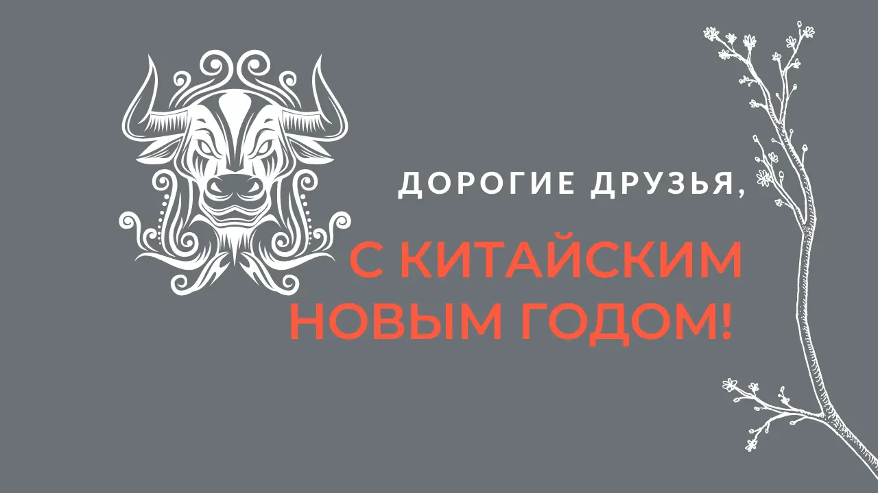 Новогодние каникулы в Китае.